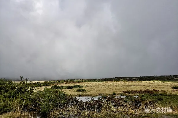 高清摄影 草地
