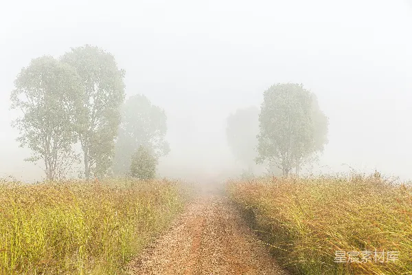 高清摄影 白天，绿色草地之间有一条棕色土路。