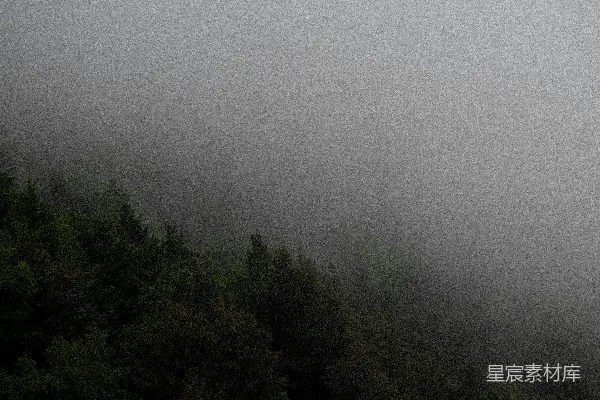 高清摄影 一架飞机飞过笼罩在雾中的森林上空
