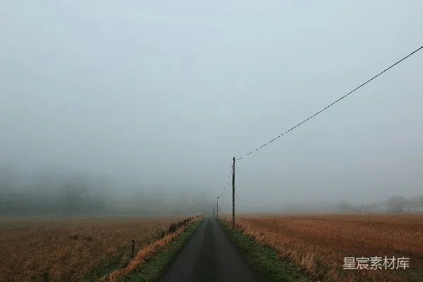 高清摄影 麦田附近的道路