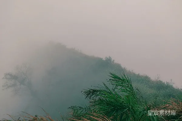 高清摄影 雾蒙蒙的草地
