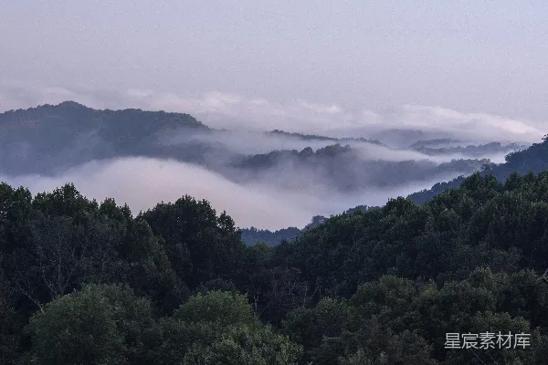 高清摄影 白天山下绿树白云