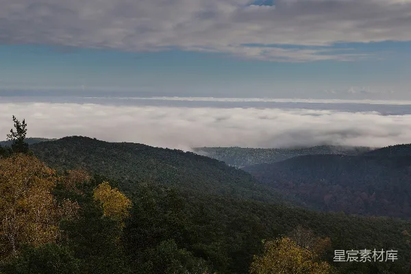 高清摄影 一片森林的景象，远处可见云层。