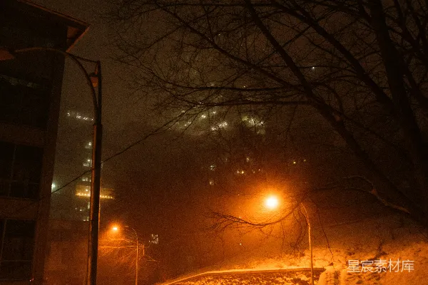 高清摄影 夜晚雪地上的路灯