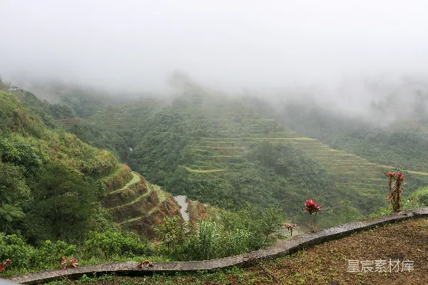 高清摄影 白天，一个人走在绿树之间的小路上。