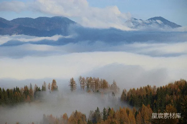 高清摄影 白天，山间绿树在白云下