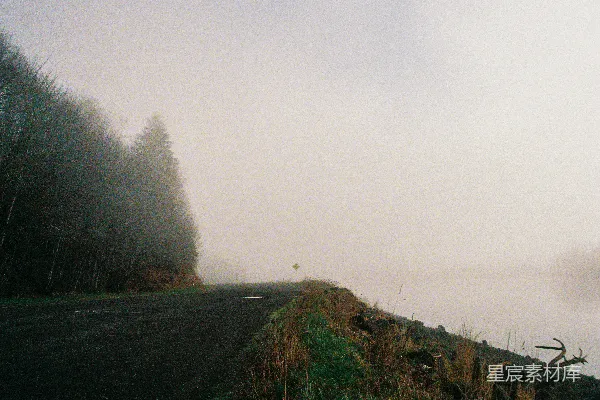 高清摄影 一条雾蒙蒙的道路紧邻一片水域。