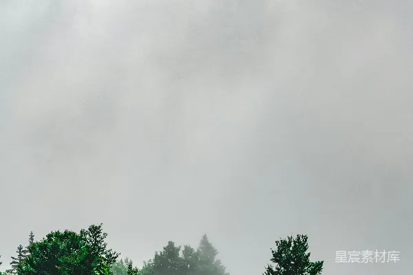 高清摄影 白天白云下的绿树