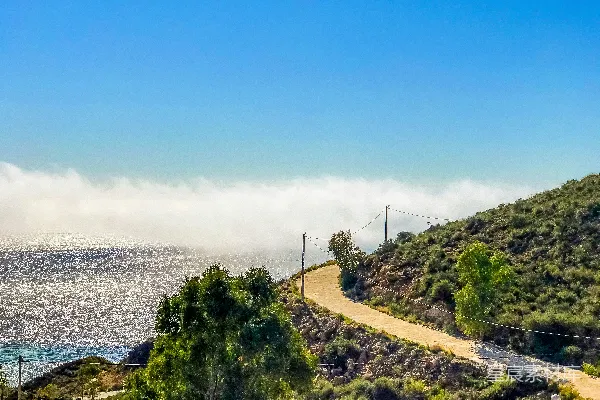 高清摄影 白天水边的绿树