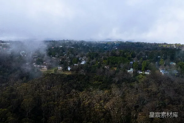高清摄影 一个风景，有树和房屋。