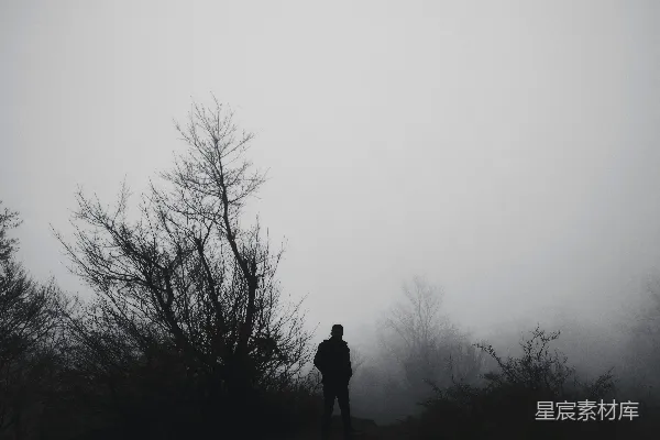 高清摄影 一个人站在雾蒙蒙的田野上的轮廓。