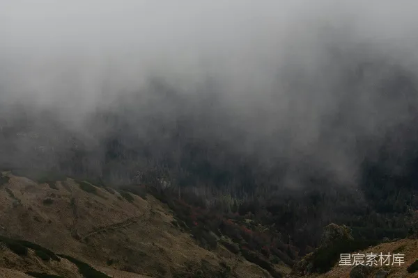 高清摄影 一片草地，背景有一座小山