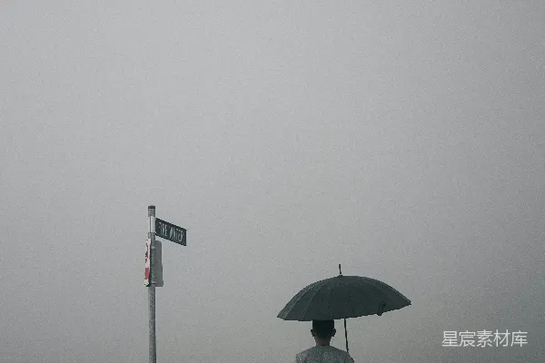 高清摄影 穿着白色夹克和灰色裤子的人打着伞站在雾气弥漫的田野上