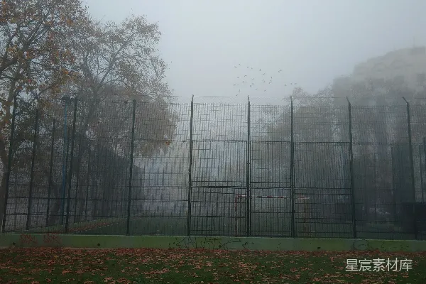 高清摄影 一个用栅栏围起来的区域，周围有树木和草地。