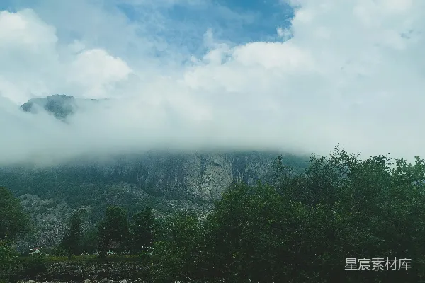 高清摄影 一座山峰被云雾和树木覆盖，在蓝天的映衬下。
