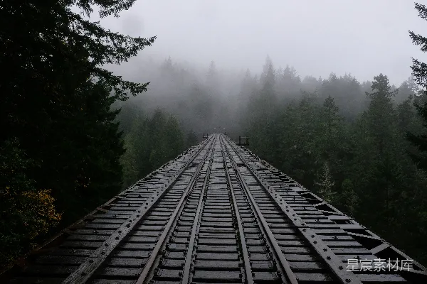 高清摄影 黑色的火车轨道旁边有绿色的树木。