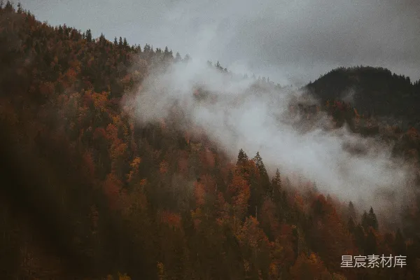 高清摄影 一座山峦被雾气笼罩，前景中树木环绕。