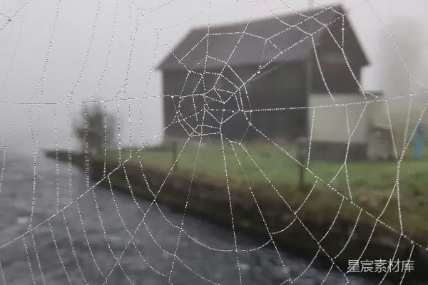 高清摄影 白天时的棕色和白色的房子靠近一片绿色的草地。