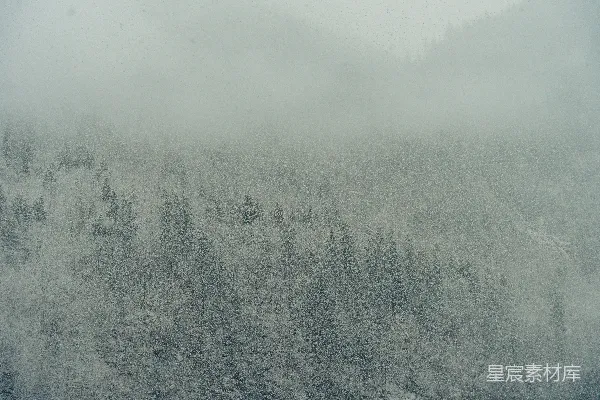 高清摄影 一座覆盖着雪的山，前景中有树木。