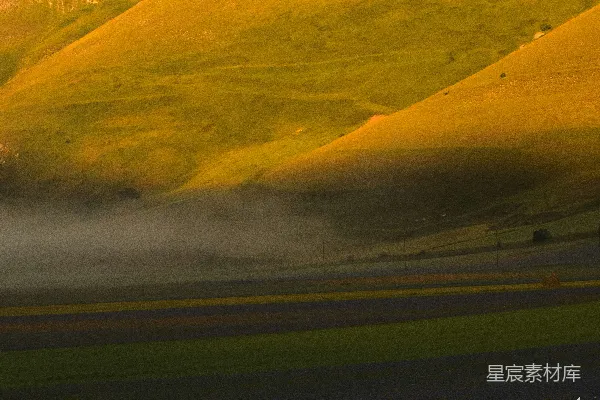 高清摄影 道路旁边的绿色草地