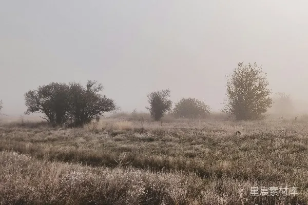 高清摄影 白天的绿草地