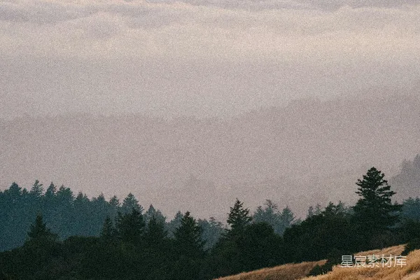 高清摄影 一片有树木和云彩的风景