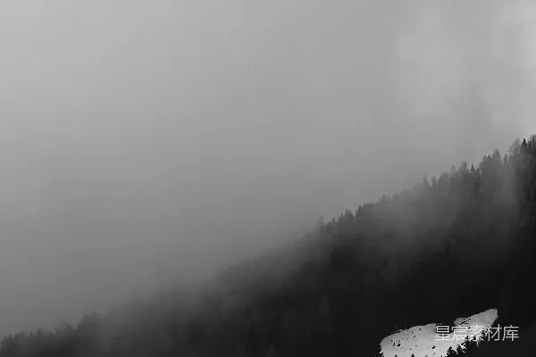 高清摄影 雪山上有树木