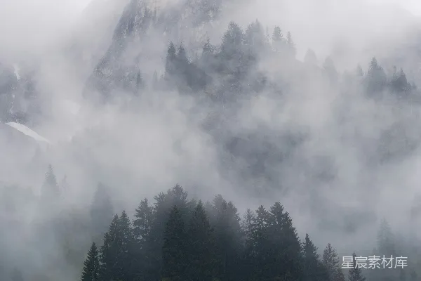 高清摄影 一座被雾气笼罩的山，前景中有树木。