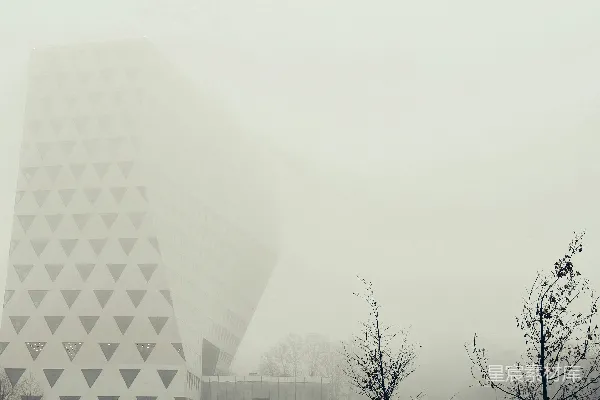 高清摄影 一座很高的建筑紧邻着另一座很高的建筑。