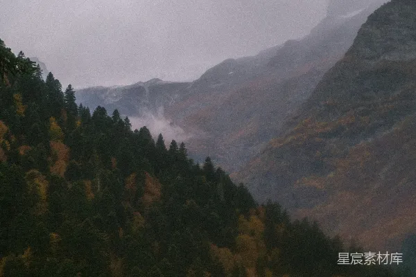 高清摄影 一座山脉的远景，前景中有树木。