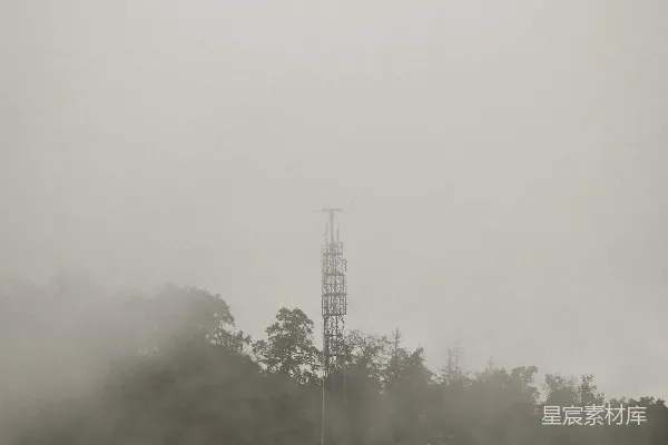 高清摄影 白天白云下的绿树