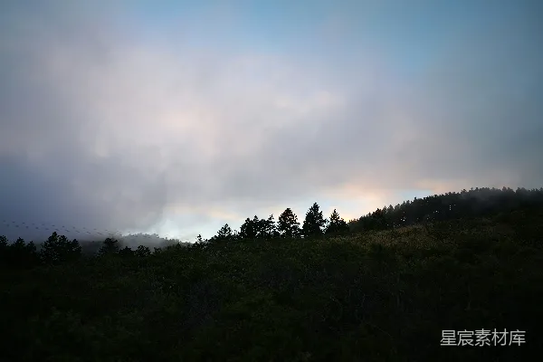 高清摄影 树木在云层下的山上成剪影状。