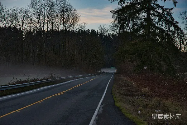 高清摄影 树木之间的道路在蓝天之下