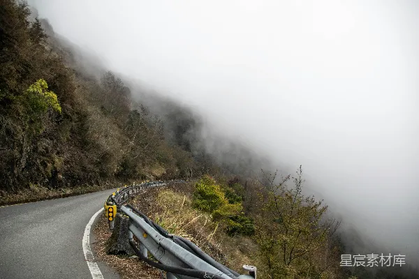 高清摄影 白天，雾气笼罩在绿树之间的灰色沥青道路上