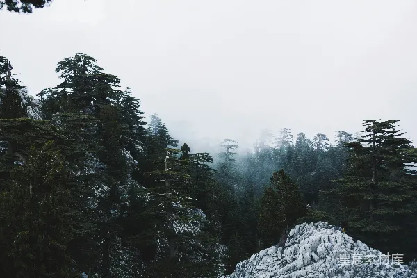 高清摄影 一座被雪覆盖的山，周围环绕着树木。