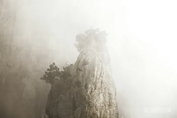 高清摄影 雾蒙蒙的山峰，山顶上有树木。