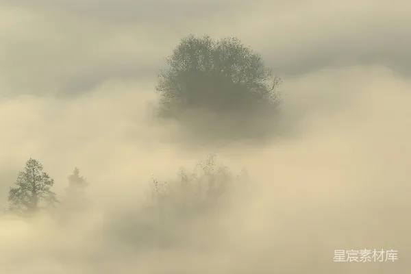 高清摄影 雾蒙蒙的风景，远处有树木。