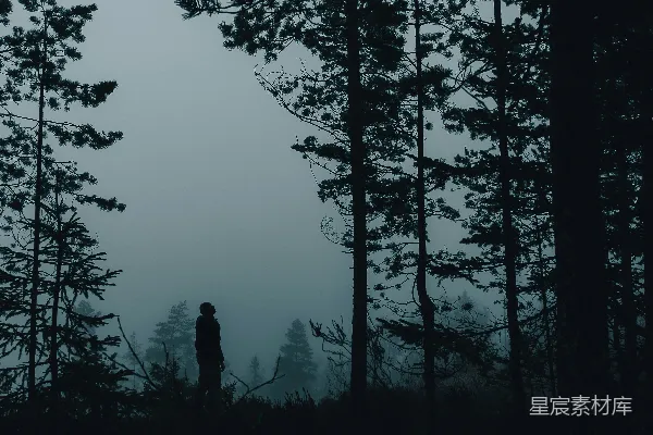 高清摄影 白天站在树木附近的那个人的剪影