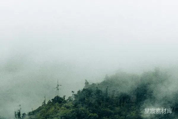 高清摄影 一片有雾的森林