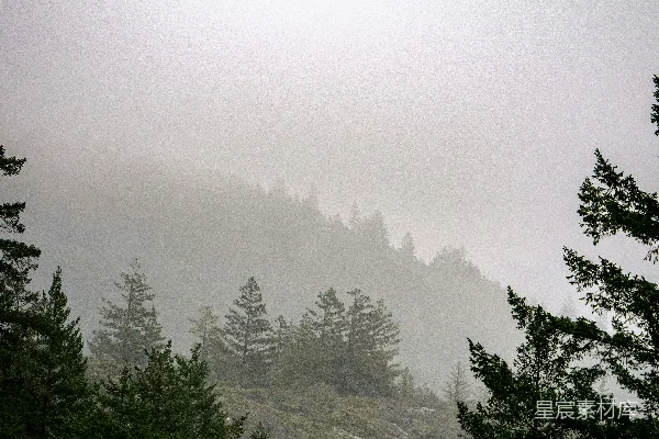 高清摄影 雾蒙蒙的山峰，前景是松树。