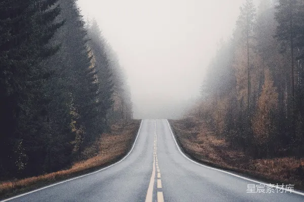高清摄影 森林中的路