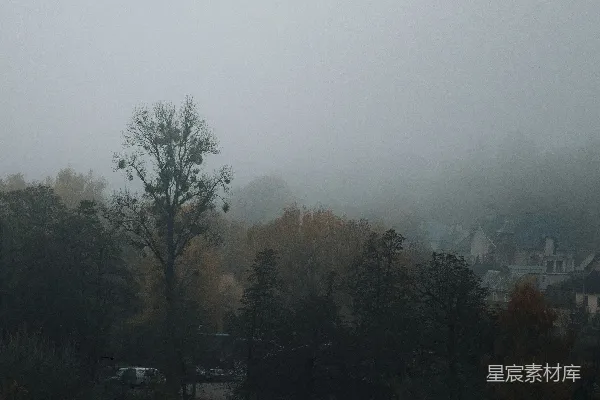 高清摄影 模糊的照片，展示了一个在雾蒙蒙的日子里的社区场景。