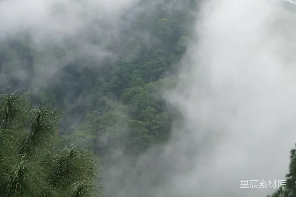 高清摄影 一座山峦被雾气和云雾笼罩，前景中有树木。