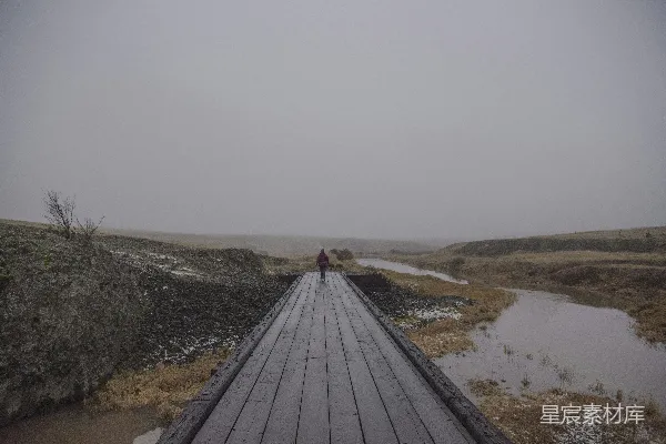 高清摄影 独自走在灰色木制小径上的人
