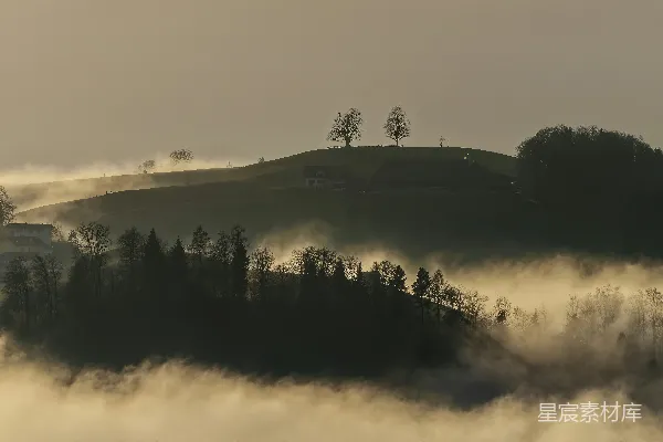 高清摄影 白天的绿草地上有绿树。