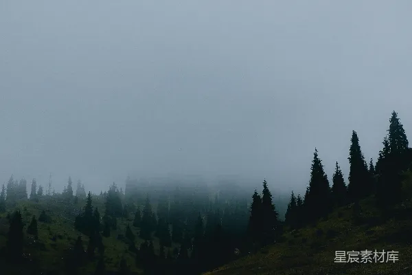 高清摄影 白天，天空湛蓝，山间绿树成荫。