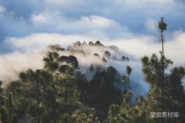 高清摄影 一座覆盖着云雾和树木的山峰，在蓝色的天空下