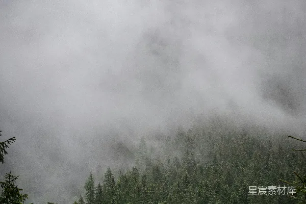 高清摄影 一座被雾气笼罩的山，前景中有树木。