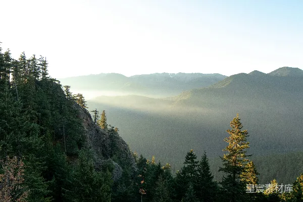 高清摄影 自然摄影中的树木山景