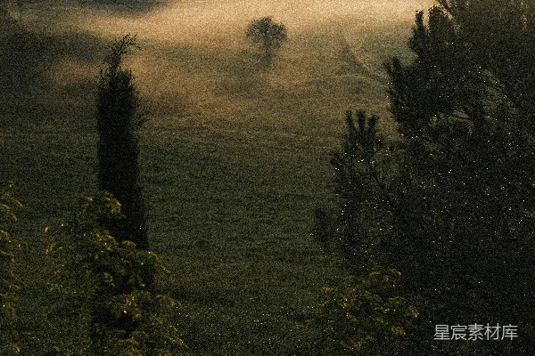 高清摄影 乡村晨雾弥漫的风景，树木隐约可见。